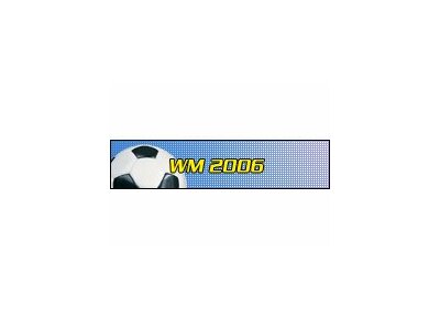 WM 2006 Panini Tüten/Displays/Alben