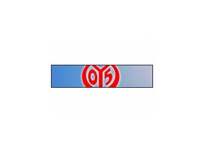 1. FSV Mainz 05