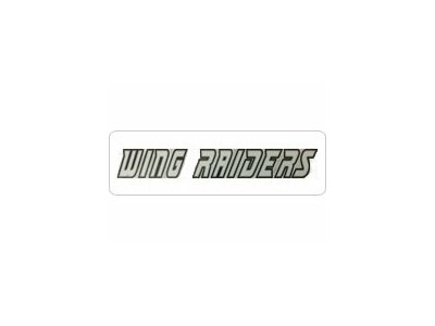 Wing Raiders