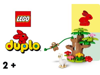LEGO Duplo
