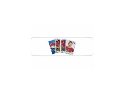 Panini Sticker Euro 2016 - Einzelsticker