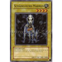 DR3-DE003 Schädelhund Marron