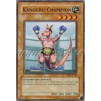 DR3-DE136 Kangäru-Champion