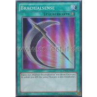 DRLG-DE012 Brachialsense - Unlimitiert