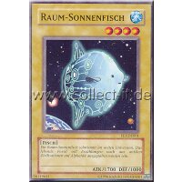 FET-DE001- Raum-Sonnenfisch