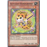 ORCS-DE024 Aufzieh-Honigbiene - 1. Auflage