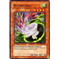 PTDN-DE041 Windbildnis - 1. Auflage