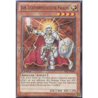 SDLI-DE007 Jain, Lichtverpflichteter Paladin