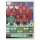 Topps Bundesliga 2014/15  -  Sticker 110 - Hannover 96 Mannschaftsbild 2