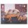 Sticker 170 - TOPPS Minions - Sammelsticker