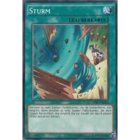 AP07-DE023 - Sturm