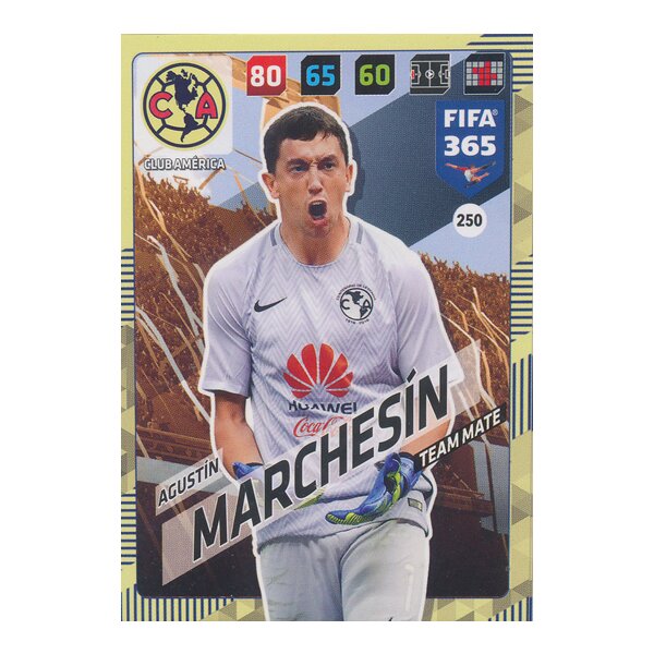 Fifa 365 Cards 2018 - 250 - Agustín Marchesín - Club América