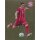 BAM1718 - Sticker 116 - Sebastian Rudy - Panini FC Bayern München 2017/18