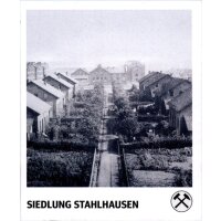 Sticker 31 - Schwarzes Gold - Panini