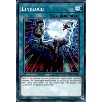 EXFO-DE051 - Linkloch - Unlimitiert