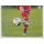 BAM1314-051 - Jan Kirchhoff - Panini FC Bayern München - Stickerkollektion 2013/14