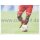 BAM1314-075 - David Alaba - Panini FC Bayern München - Stickerkollektion 2013/14