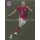 BAM1617 - Sticker 96 - Arjen Robben - Panini FC Bayern München 2016/17