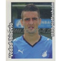 PBU272 - Ibisevic - Saison 08/09