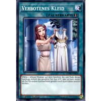 LEHD-DEB18 - Verbotenes Kleid