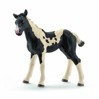 Schleich Farm World 13803 - Pinto Fohlen