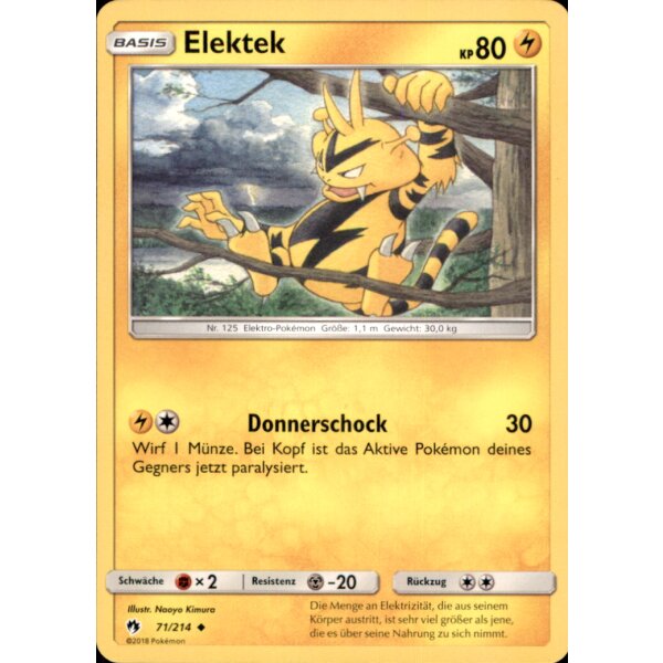 71/214 Elektek - Echo des Donners - Deutsch