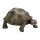 Schleich 14601 Wild Life - Riesenschildkröte