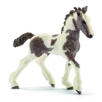 Schleich Farm World 13774 - Tinker Fohlen