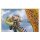 Sticker 116 Dragons Drachenreiter-Handbuch