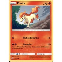 17/181 Ponita - Teams sind Trumpf - Deutsch