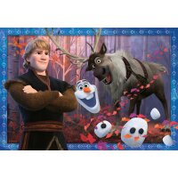 Ravensburger 05010 - Frostige Abenteuer - 24 Teile