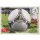 Panini EM 2012 deutsche Version - Sticker 46 - Offizieller Ball