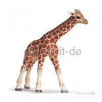 Schleich Wild Life 14751 - Giraffenbaby