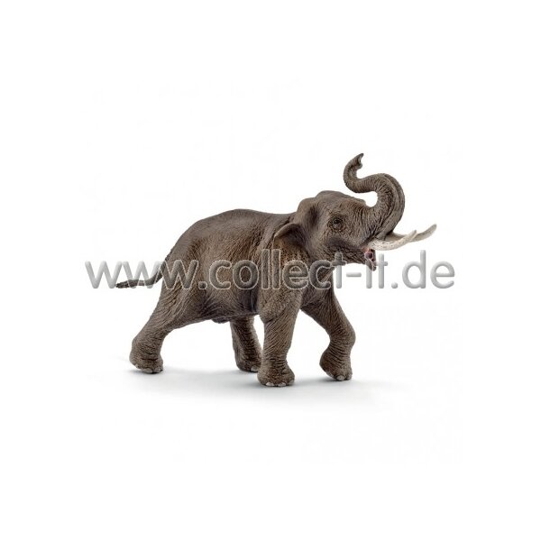 Schleich - Asiatischer Elefantenbulle (14754)