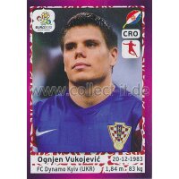 Panini EM 2012 deutsche Version - Sticker 384 - Ognjen...