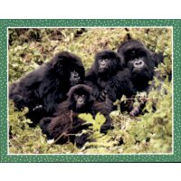 Sticker 14 - National Geographic - Wilde Tiere