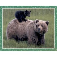 Sticker 100 - National Geographic - Wilde Tiere