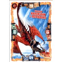 24 - Flugteam Hakenzahn & Rotzbacke - Drachen Karte - Dragons 3 - Die geheime Welt