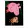 Sticker 54 - Peppa Pig Wutz auf Weltreise