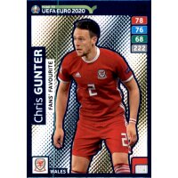 Karte 278 - Road to EURO EM 2020 - Chris Gunter - Fans...