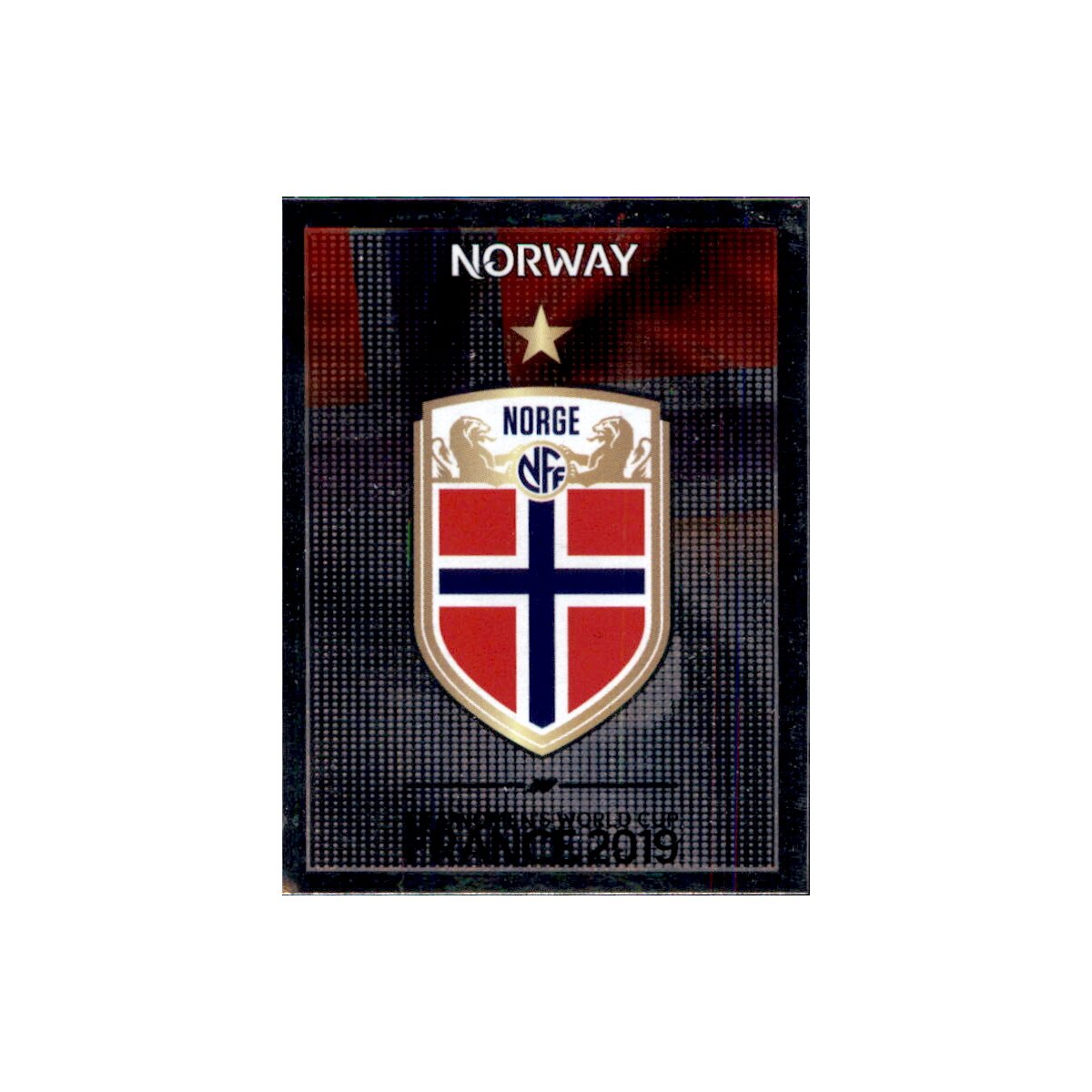 Panini Frauen WM 2019 Sticker 62 Wappen Norwegen 