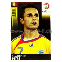 Panini EM 2008 - Sticker 323 - Florentin Petre