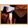 Sticker 39 - Playmobil - Der Film 2019