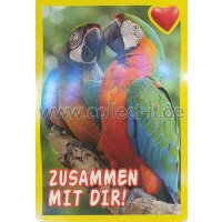 Panini Mission Tierfreunde Sticker 039