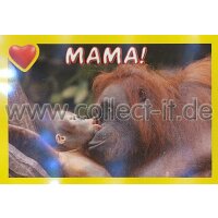 Panini Mission Tierfreunde Sticker 041