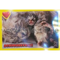 Panini Mission Tierfreunde Sticker 042