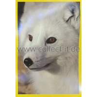 Panini Mission Tierfreunde Sticker 052