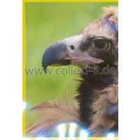 Panini Mission Tierfreunde Sticker 078