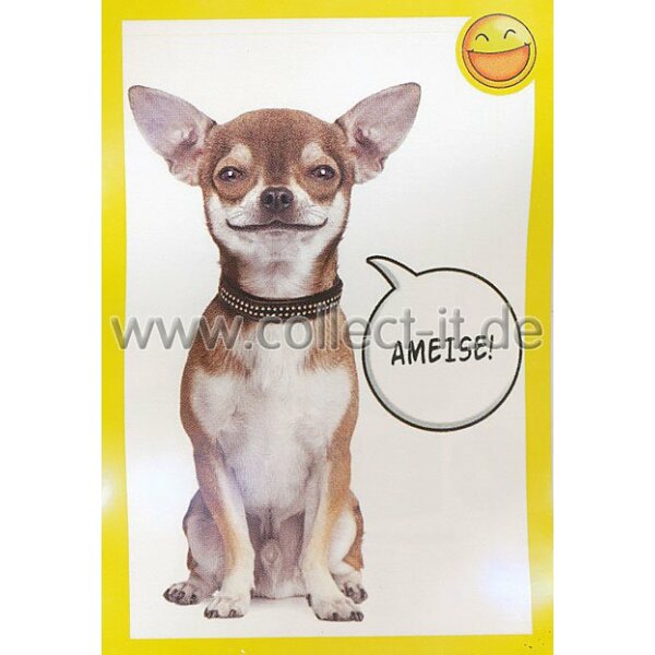 Panini Mission Tierfreunde Sticker 106