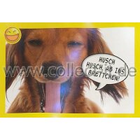 Panini Mission Tierfreunde Sticker 108